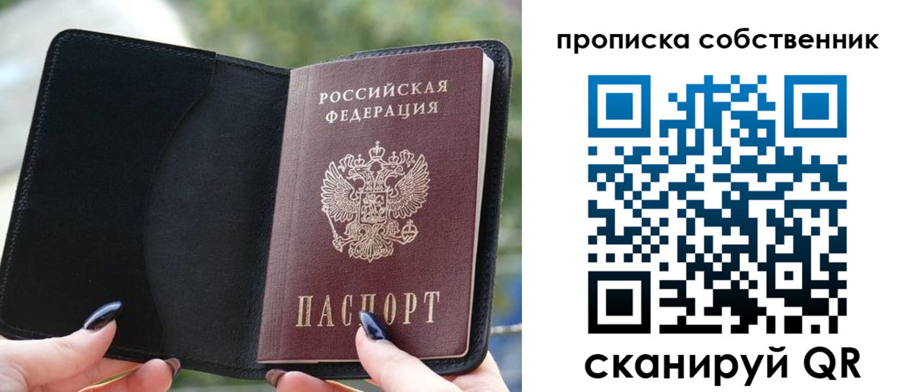 прописка поиск в Балашове